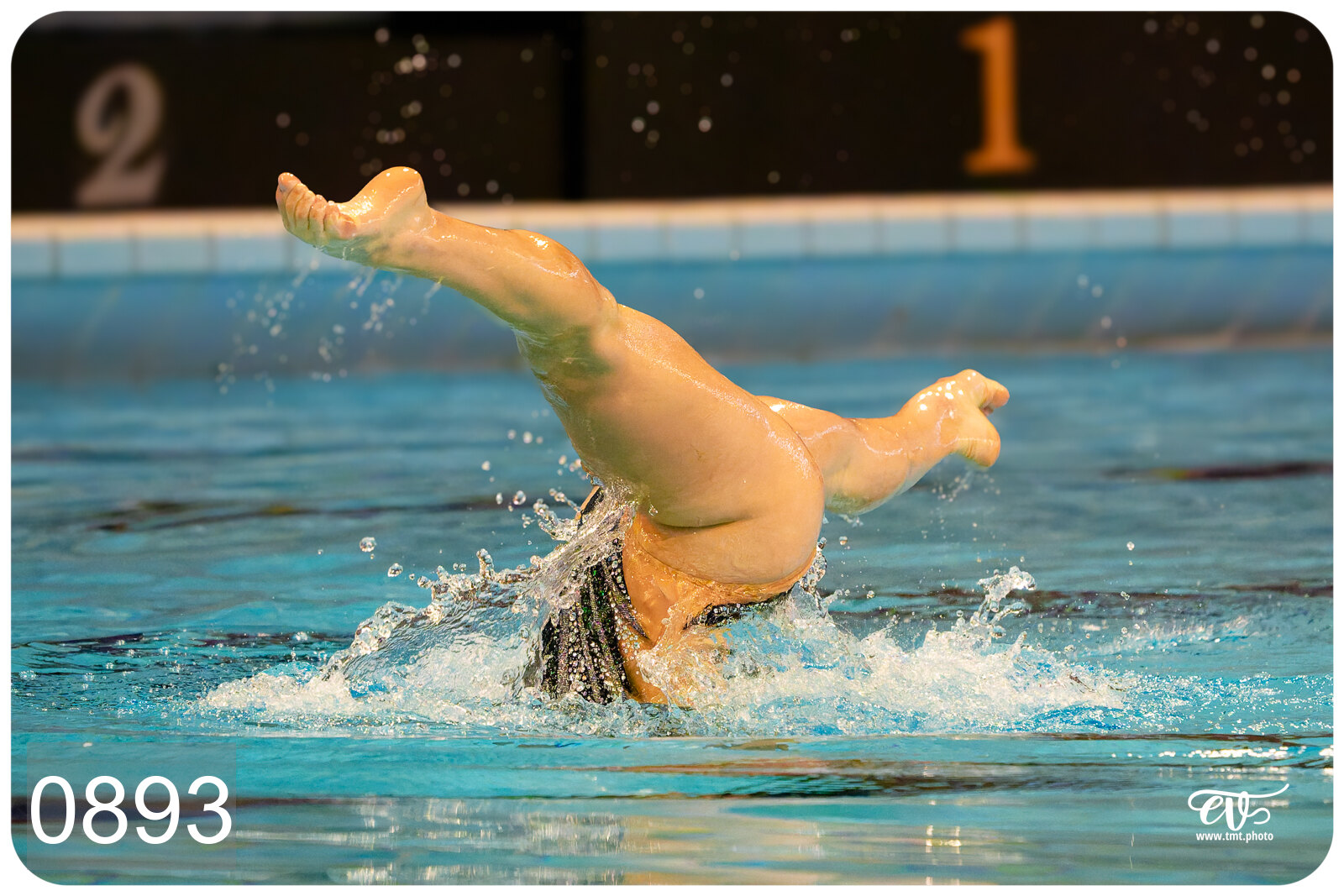 CHAMPIONNAT DE FRANCE DE NATATiON ARTISTIQUE N1 & ELITE 2026